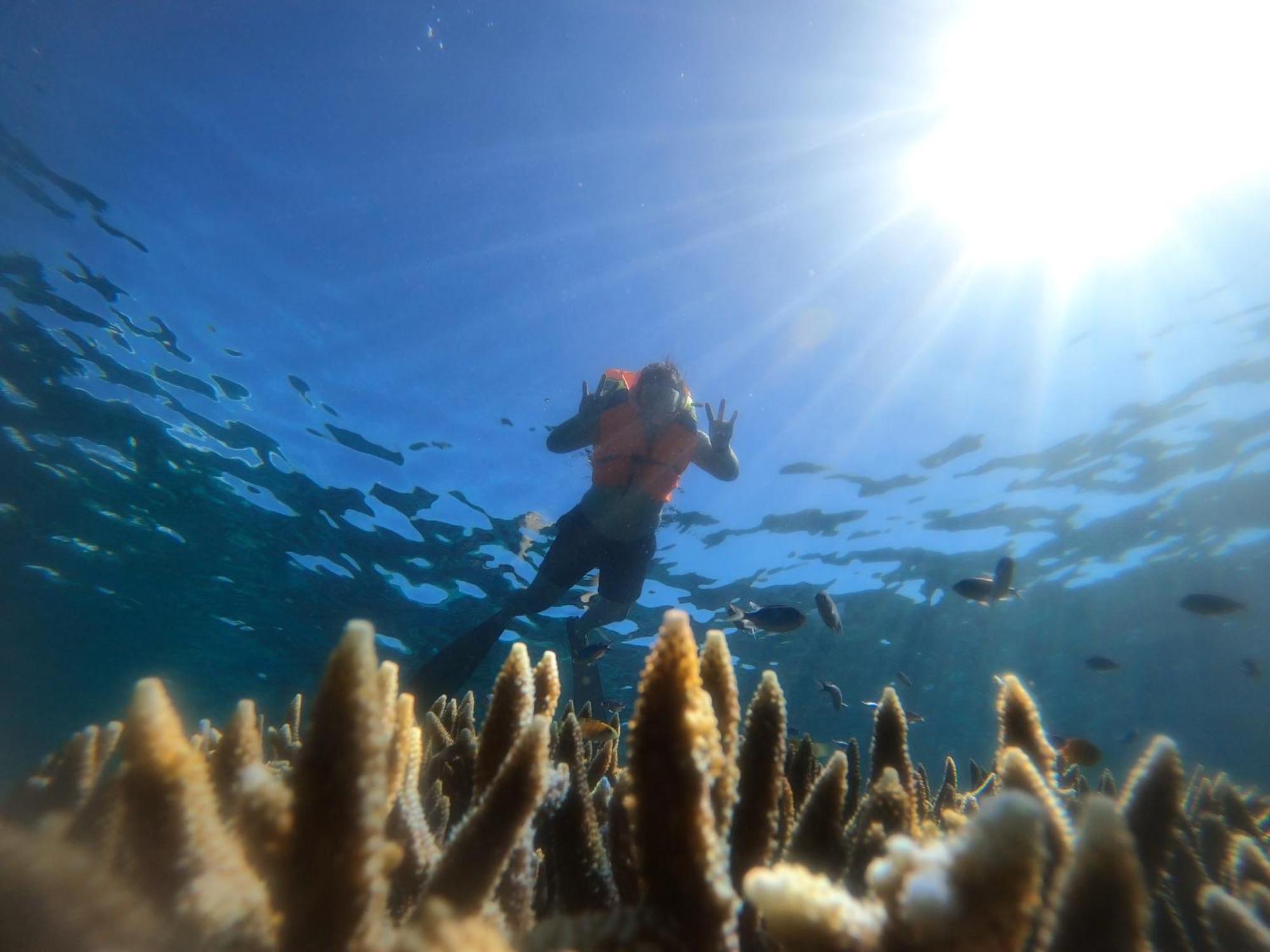 Natuna Dive Resort Ranai Dış mekan fotoğraf