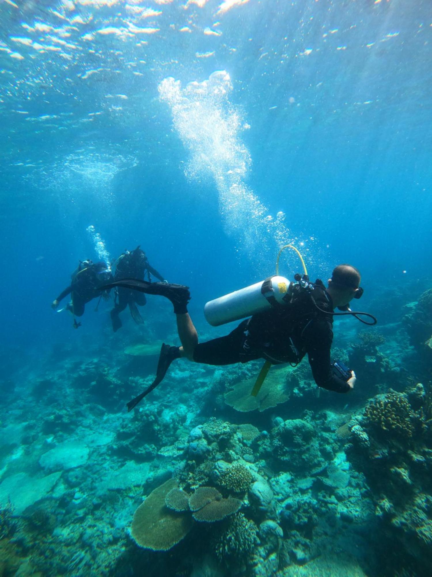 Natuna Dive Resort Ranai Dış mekan fotoğraf